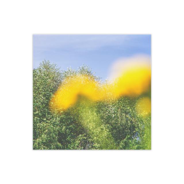 Summer by Nur Mut - Unframed Photographic Print on Paper Alpen Home Size: 30 cm H x 30 cm W on Productcaster.