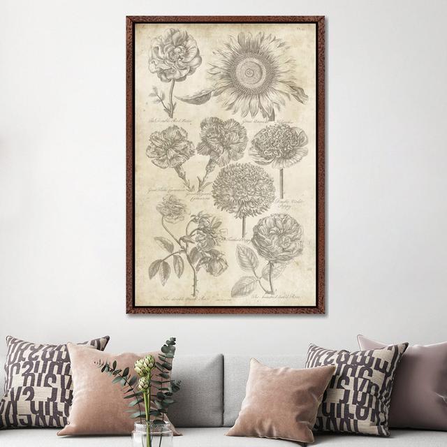 Eden Antique Bookplate II by Wild Apple Portfolio - Gallery-Wrapped Canvas Giclée on Canvas Lark Manor Size: 152.4cm H x 101.6cm W x 3.81cm D, Format: on Productcaster.