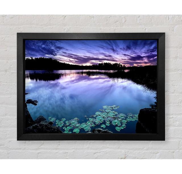 Calm Dusk Water Lily Pads - Single Picture Frame Art Prints Bright Star Size: 84.1cm H x 118.9cm W x 3.4cm D on Productcaster.