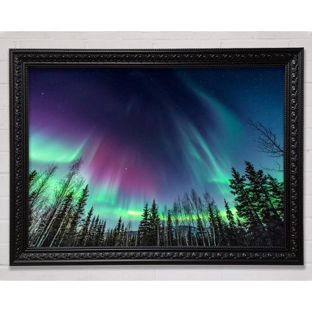 Skies Of Heaven - Single Picture Frame Art Prints Bright Star Size: 59.7cm H x 84.1cm W on Productcaster.