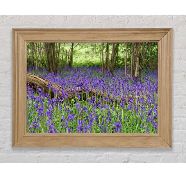 Purple Flowers In The Meadow - Single Picture Frame Art Prints Bright Star Size: 29.7cm H x 42cm W x 8cm D on Productcaster.