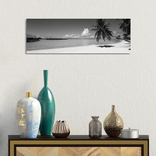 Palm Tree on the Beach, Moana Beach, Bora Bora, Tahiti, French Polynesia by Panoramic Images - Wrapped Canvas Panoramic Graphic Art Highland Dunes Siz on Productcaster.