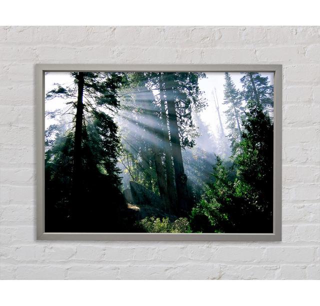 Sunbeams Through The Green Forest - Single Picture Frame Art Prints on Canvas Bright Star Size: 59.1cm H x 84.1cm W x 3.3cm D on Productcaster.