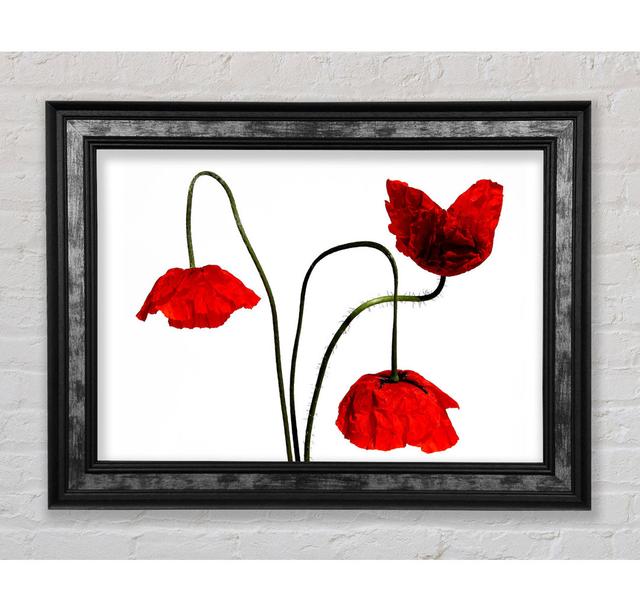 Stunning Trio Of Poppys - Single Picture Frame Art Prints Bright Star Size: 42cm H x 59.7cm W x 8cm D on Productcaster.