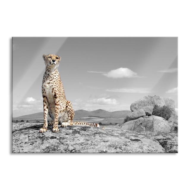 Proud Cheetah - No Frame Print on Glass Brayden Studio Size: 70cm H x 100cm W x 0.4cm D on Productcaster.