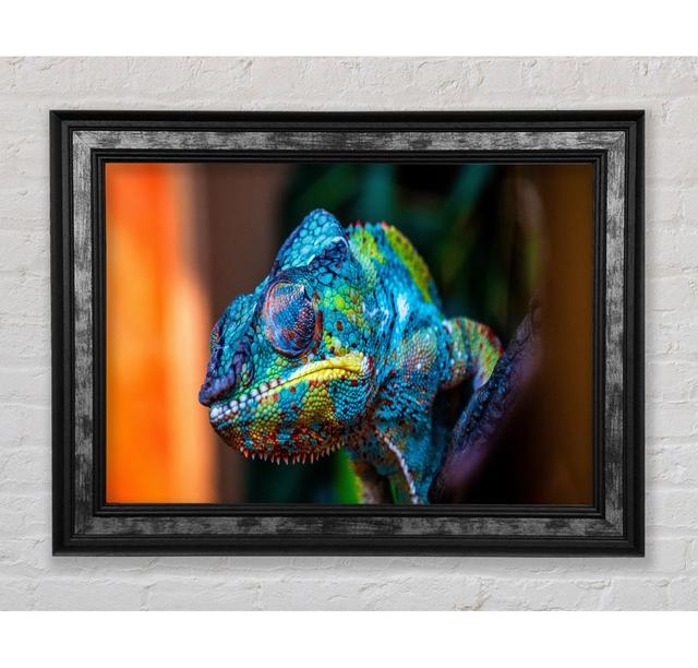 Chameleon Up Close - Single Picture Frame Art Prints Bright Star Size: 59.7cm H x 84.1cm W x 8cm D on Productcaster.