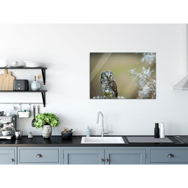 Owl Admiring Leaf - Unframed Photograph on Glass Union Rustic Size: 70cm H x 100cm W x 0.4cm D on Productcaster.