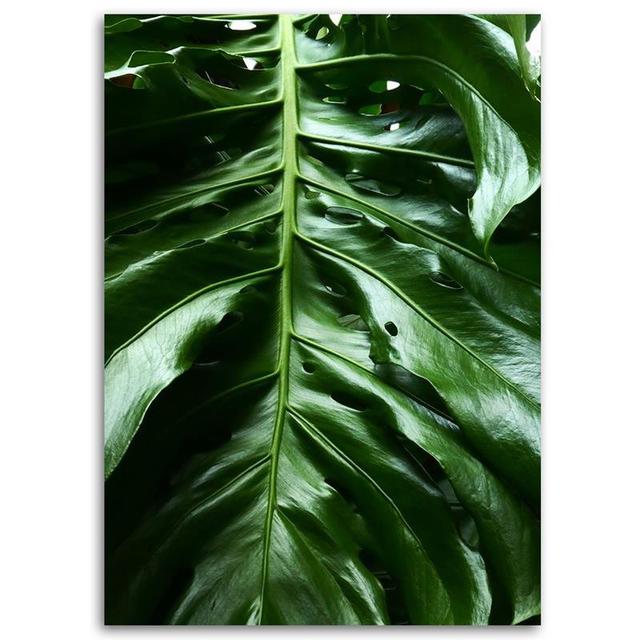 Smooth Leaf of a Monstera Plant - Wrapped Canvas Photograph Print Bay Isle Home Size: 120cm H x 80cm W on Productcaster.