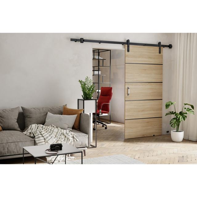 Door Brayden Studio Door Finish: Light Brown, Size: 96cm x 205cm on Productcaster.