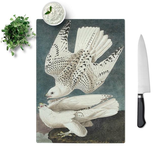 Tempered Glass Two Gyrfalcons by John James Audubon Chopping Board East Urban Home Size: 28.5 cm W x 39 cm L on Productcaster.