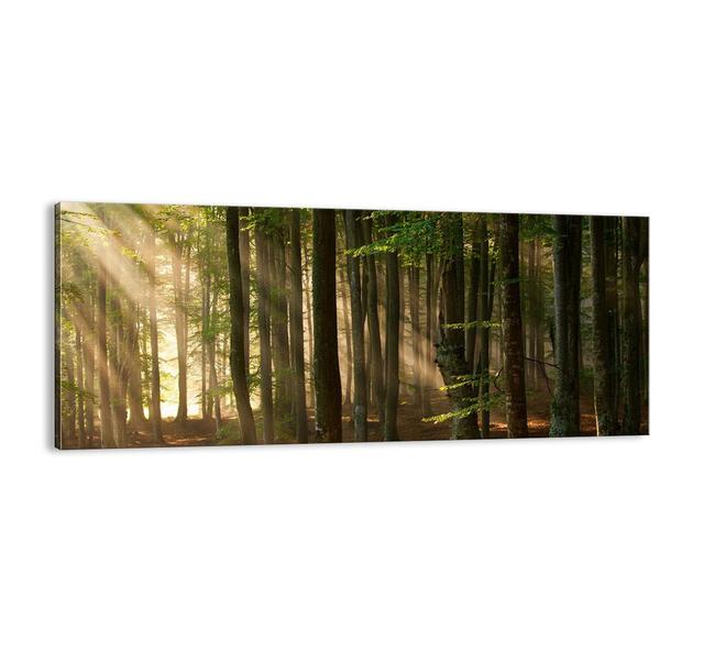 'Beaming on a Spring Morning' - Unframed Photograph Print on Canvas Union Rustic Size: 50cm H x 120cm W x 1.8cm D on Productcaster.