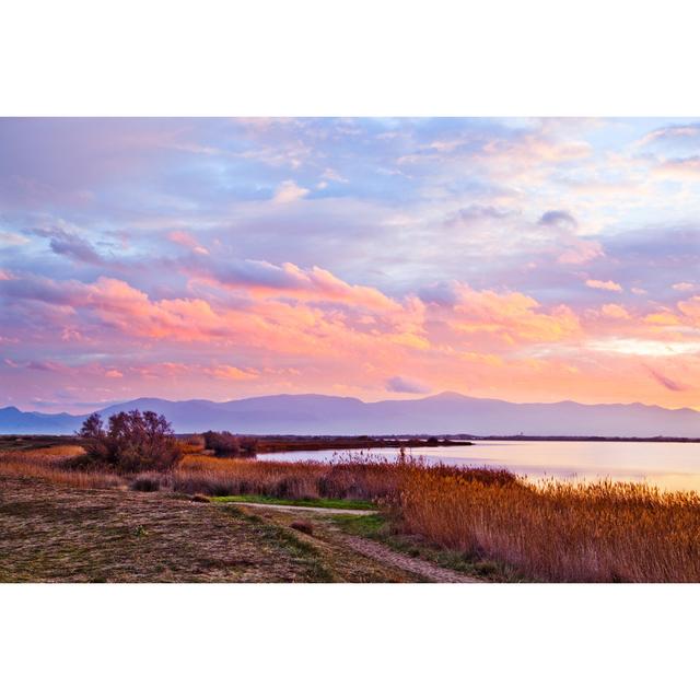 Canet Saint Nazaire Lake by Pase4 - Wrapped Canvas Photograph 17 Stories Size: 30cm H x 46cm W on Productcaster.