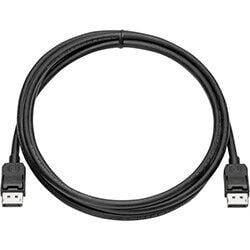 HP - Display cable kit - DisplayPort (M) to DisplayPort (M) - 2 m - for HP t530, t628; EliteDesk 705 G3; EliteOne 1000 G1, 800 G3; ProDesk 600 G3, 600 on Productcaster.