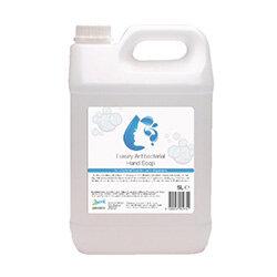 2Work Anti-Bacterial Hand Wash Liquid Soap 5 Litre (Pack 1) 2W03975 on Productcaster.