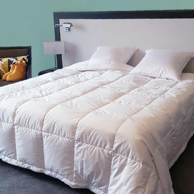 Castex - Couette fine fraicheur - oie 200x200 cm 90% duvet naturel Made in France on Productcaster.