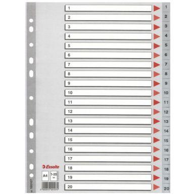 Register Esselte PP A4 1-20 grå on Productcaster.