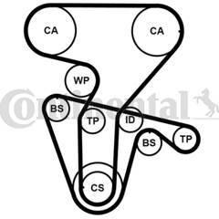 CONTITECH Tandriemset 4010858007157 on Productcaster.