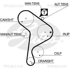 TRISCAN Tandriem 5709147155806 on Productcaster.