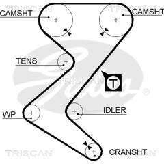 TRISCAN Tandriem 5709147746912 on Productcaster.