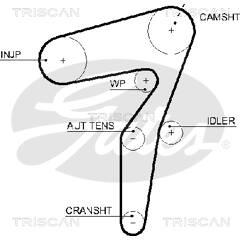 TRISCAN Tandriem 5709147577400 on Productcaster.