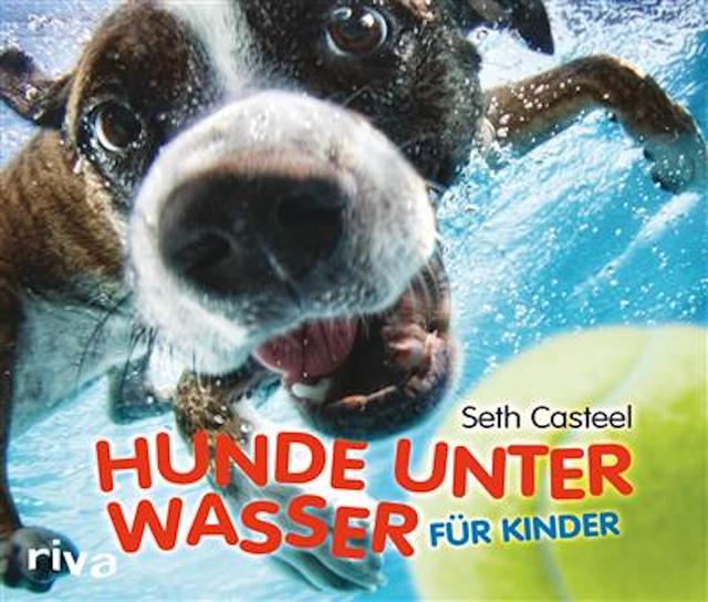 Hunde unter Wasser für Kinder on Productcaster.