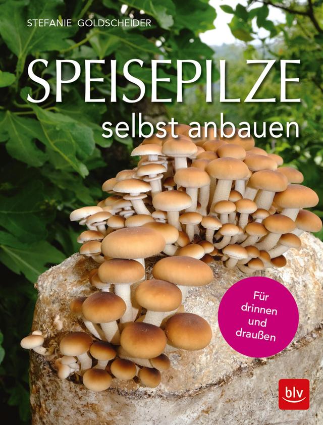 Speisepilze selbst anbauen on Productcaster.