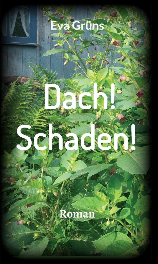 Dach! Schaden! on Productcaster.