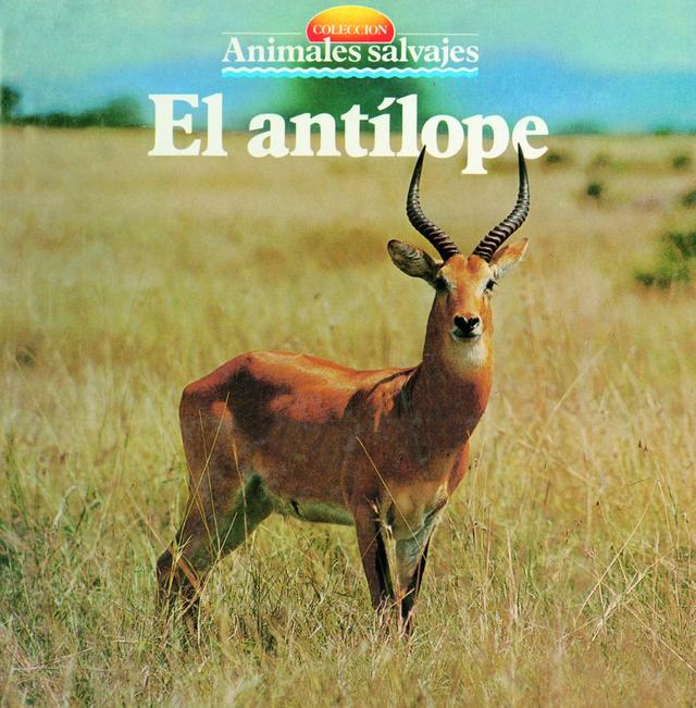 El antílope on Productcaster.