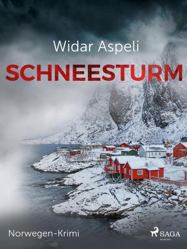 Schneesturm - Norwegen-Krimi on Productcaster.