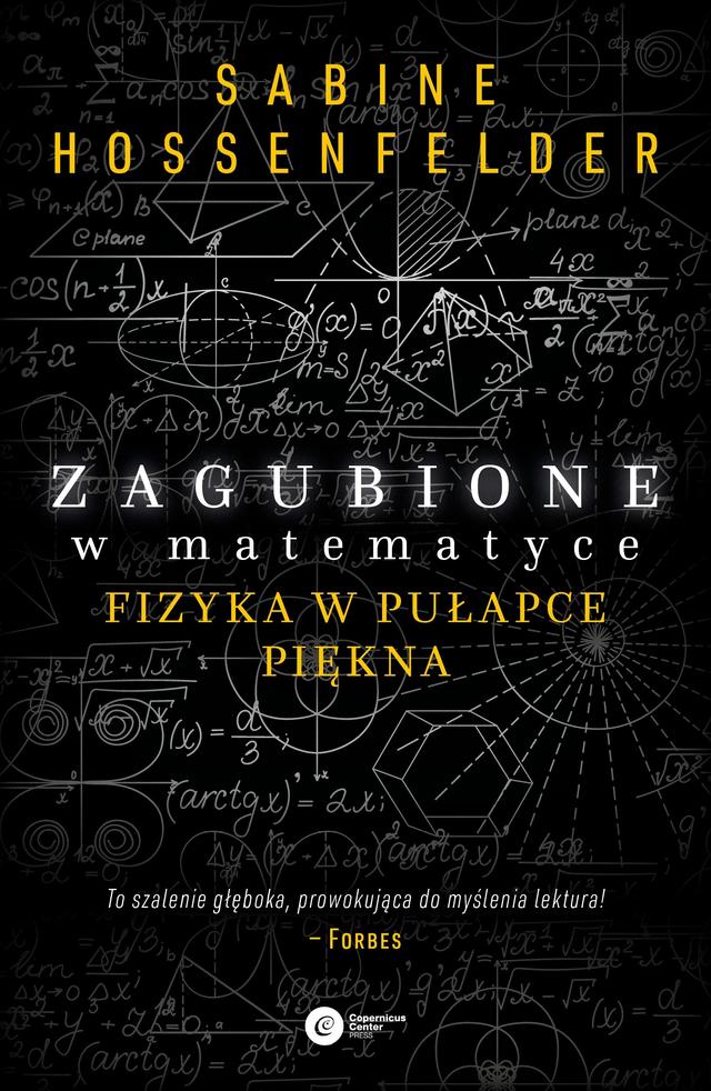 Zagubione w matematyce. Fizyka w pułapce piękna on Productcaster.