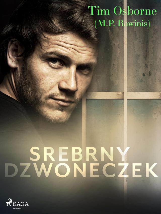 Srebrny dzwoneczek on Productcaster.