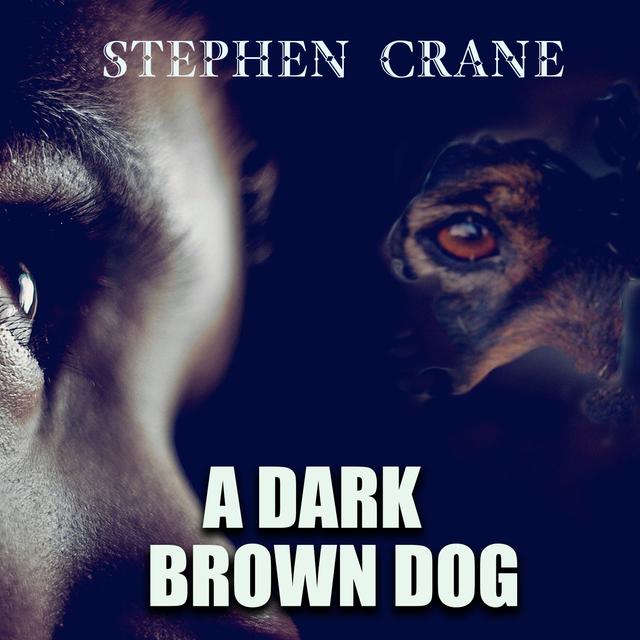 A Dark Brown Dog on Productcaster.