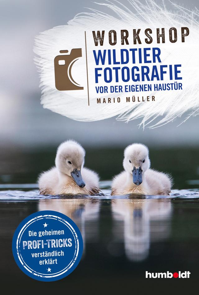 Workshop Wildtierfotografie vor der eigenen Haustür on Productcaster.