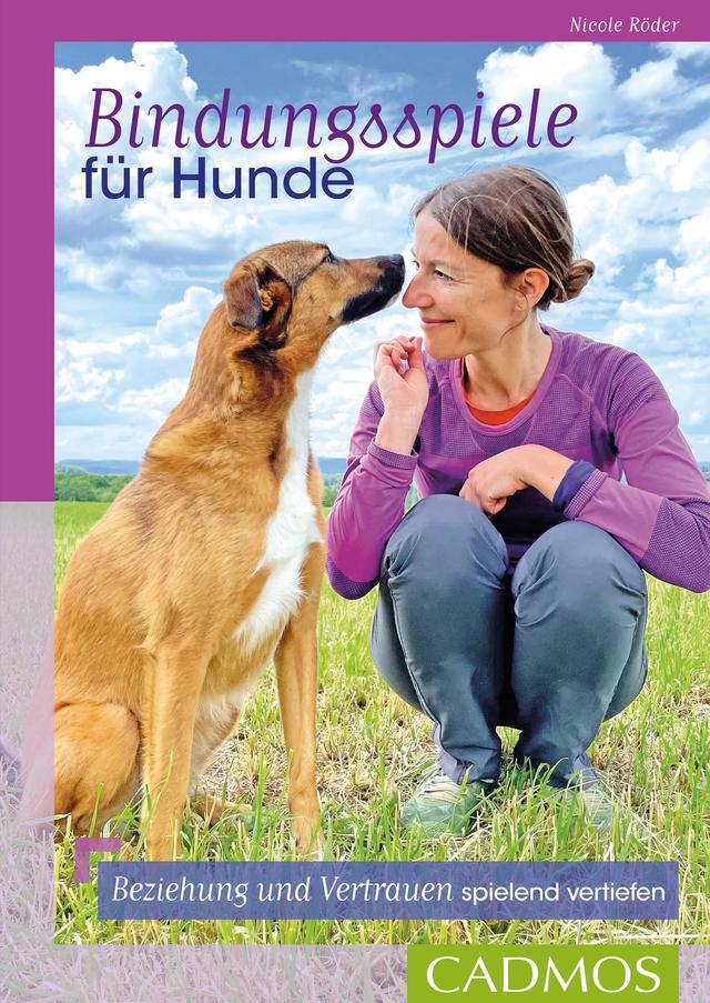 Bindungsspiele für Hunde on Productcaster.