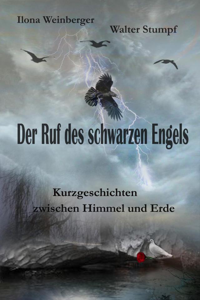 Der Ruf des schwarzen Engels on Productcaster.