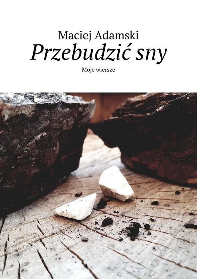 Przebudzić sny on Productcaster.