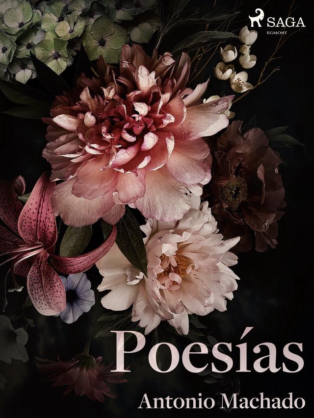 Poesías on Productcaster.