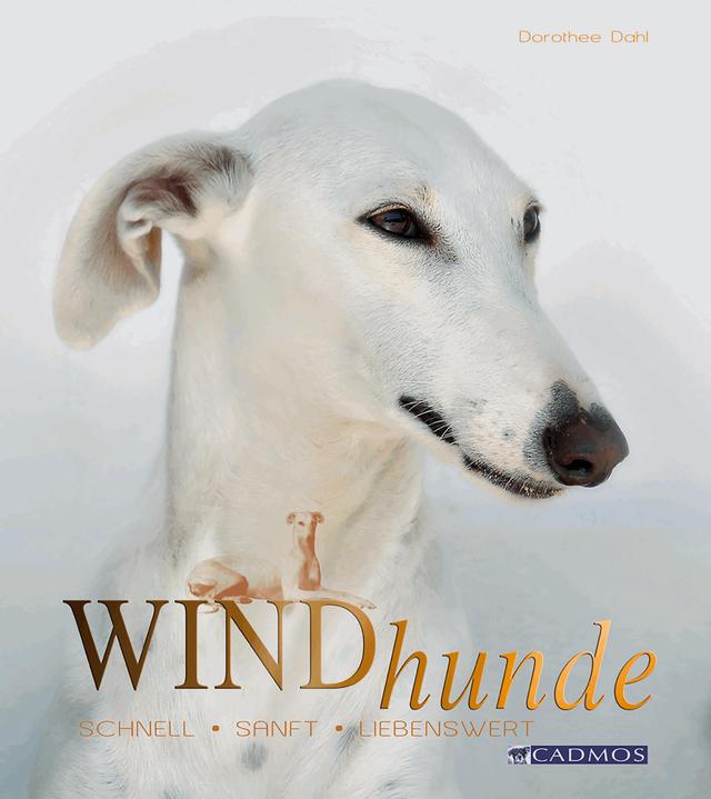 Windhunde on Productcaster.