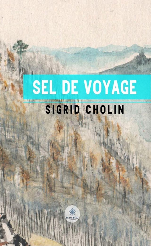 Sel de voyage on Productcaster.