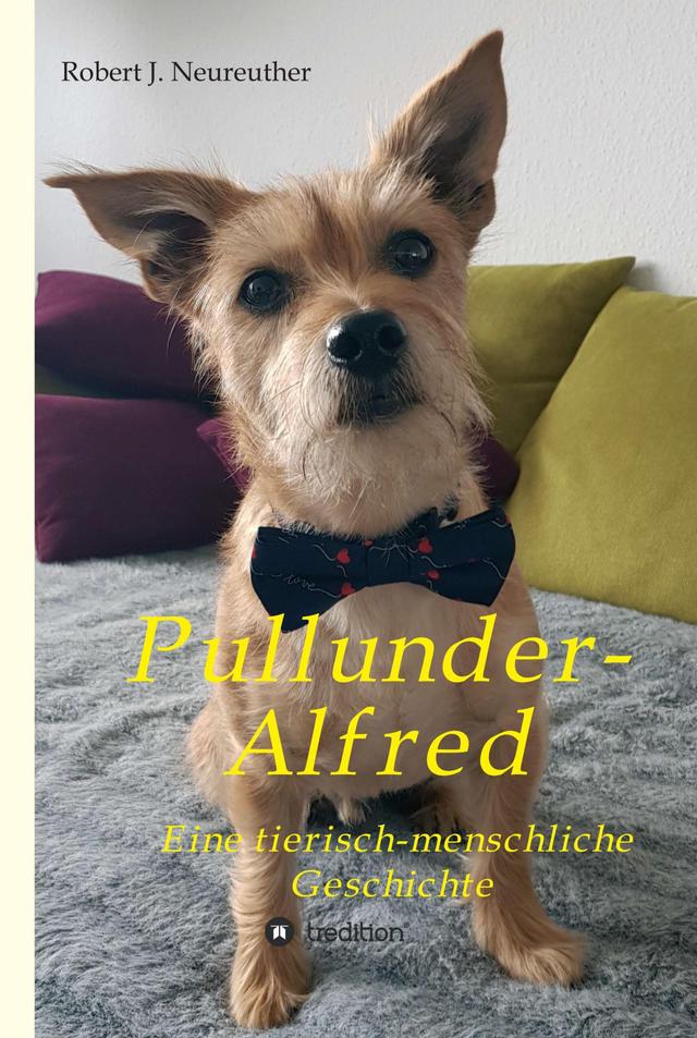 Pullunder-Alfred on Productcaster.