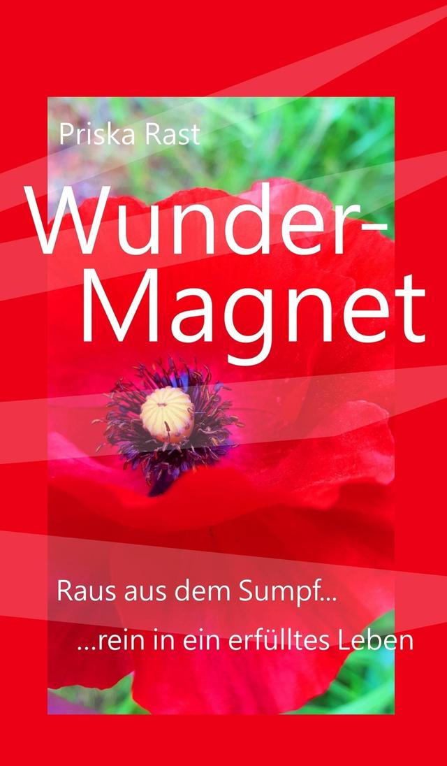 Wunder-Magnet on Productcaster.