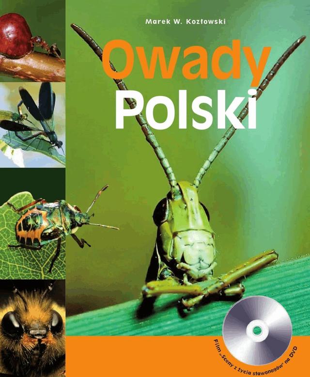 Owady Polski on Productcaster.