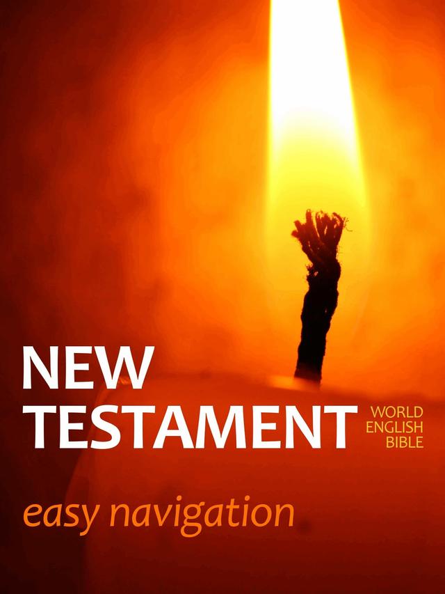 New Testament - Easy Navigation on Productcaster.