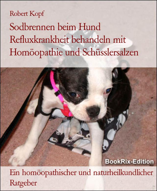 Sodbrennen beim Hund Refluxkrankheit behandeln mit Homöopathie und Schüsslersalzen on Productcaster.