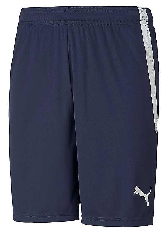 Puma teamLiga Training Shorts - Blue - Size S on Productcaster.