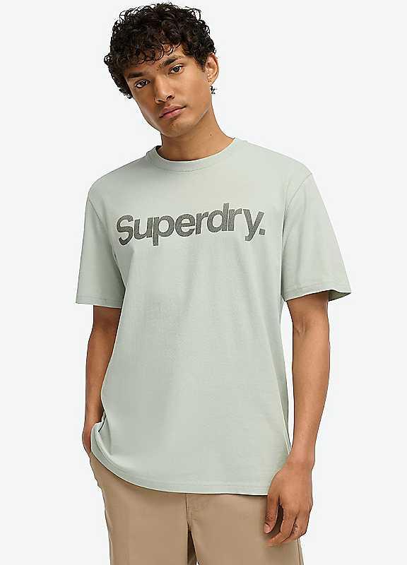 Superdry Logo Print T-Shirt - Grey - Size L on Productcaster.