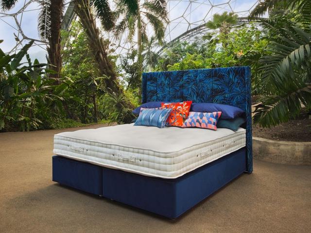 Hypnos Divan Bed Rainforest - Double, Firm, Pocket Spring, Natural on Productcaster.