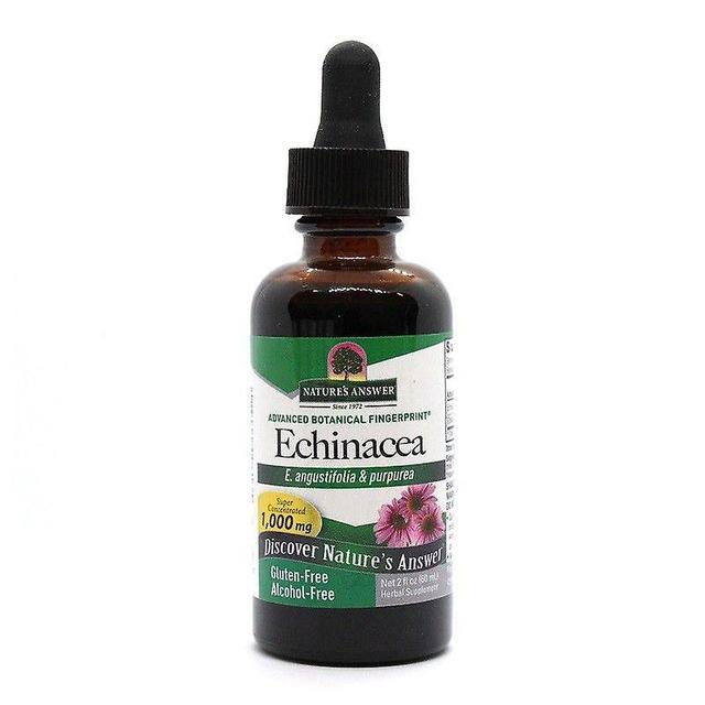 Nature's Answer Príroda ' s odpoveď Echinacea koreň alkoholu zadarmo 60ml 1354 on Productcaster.