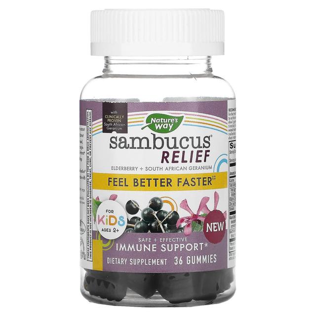 Nature's Way, Sambucus Relief, Immune Support, For Kids, 2+, Elderberry + South African Geranium, 36 on Productcaster.