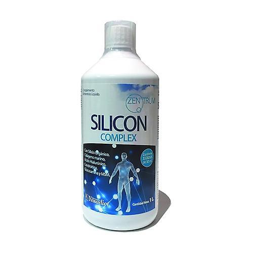 Zentrum Silicon Complex 1 L on Productcaster.